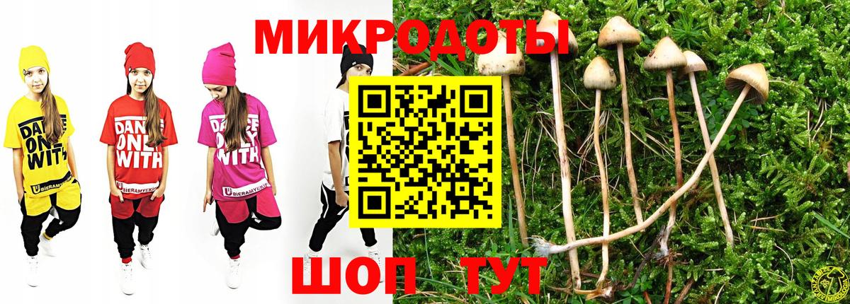 Псилоцибиновые грибы прущие грибы Сосновоборск