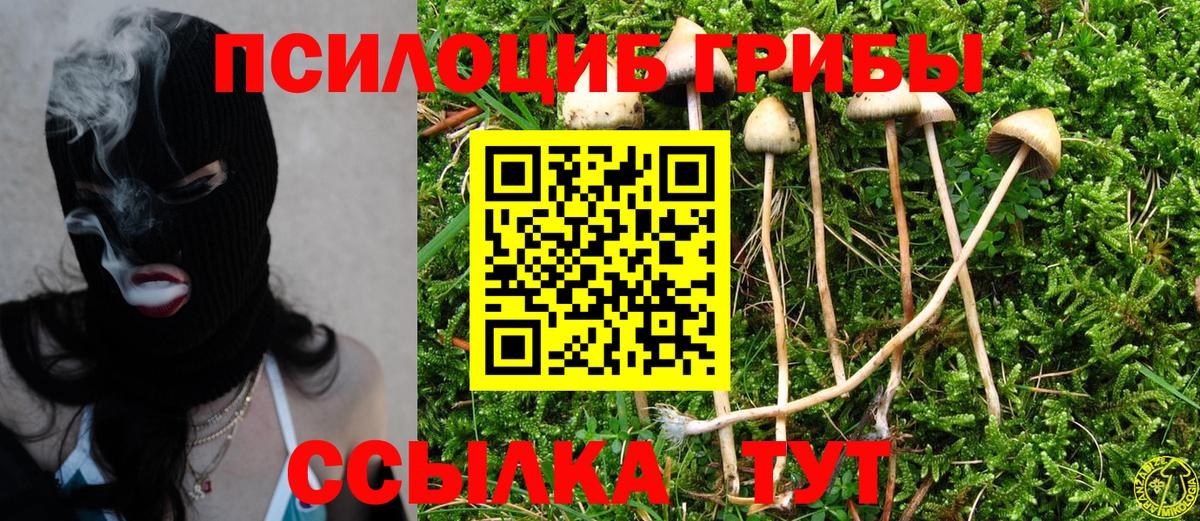 Псилоцибиновые грибы GOLDEN TEACHER  Вход с VPN  Сосновоборск 
